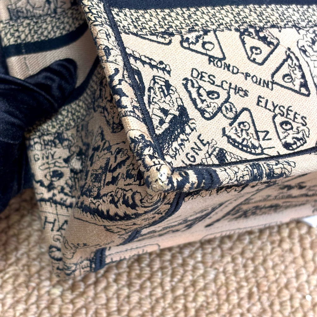 Dior 2023 Book Tote Paris Map Embroidery Tote Bag