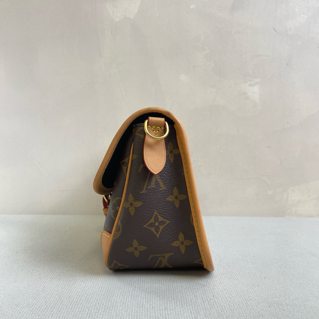 Louis Vuitton Diane Classic Monogram with Chip, Double Strap, Size 24*16.