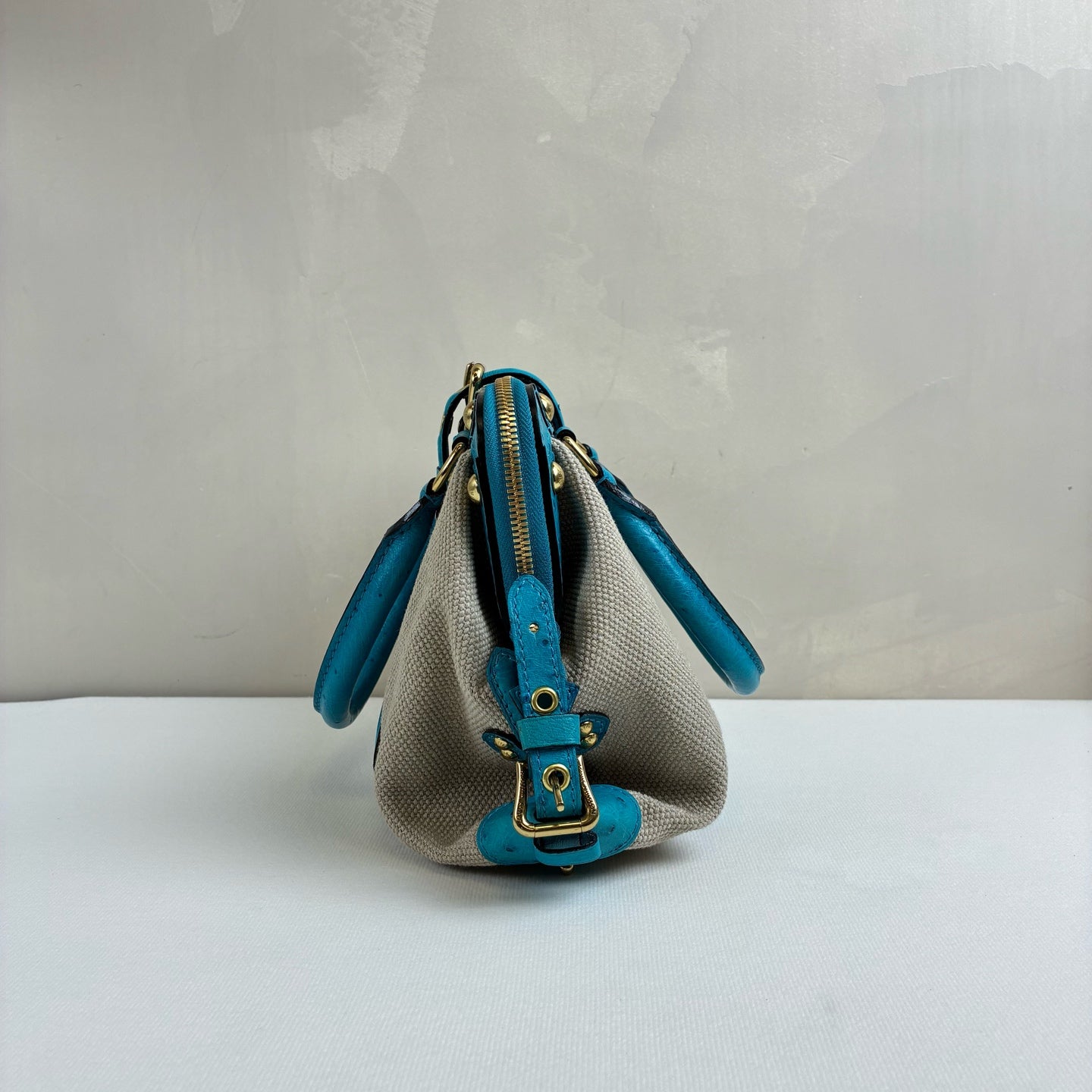 LV Blue Ostrich Leather and Canvas Lock Handbag Show Model, Blue Ostrich with Beige Canvas, 23*19.