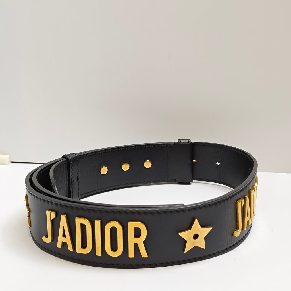 Dior J'ADIOR Heavy Metal Wide Shoulder Strap