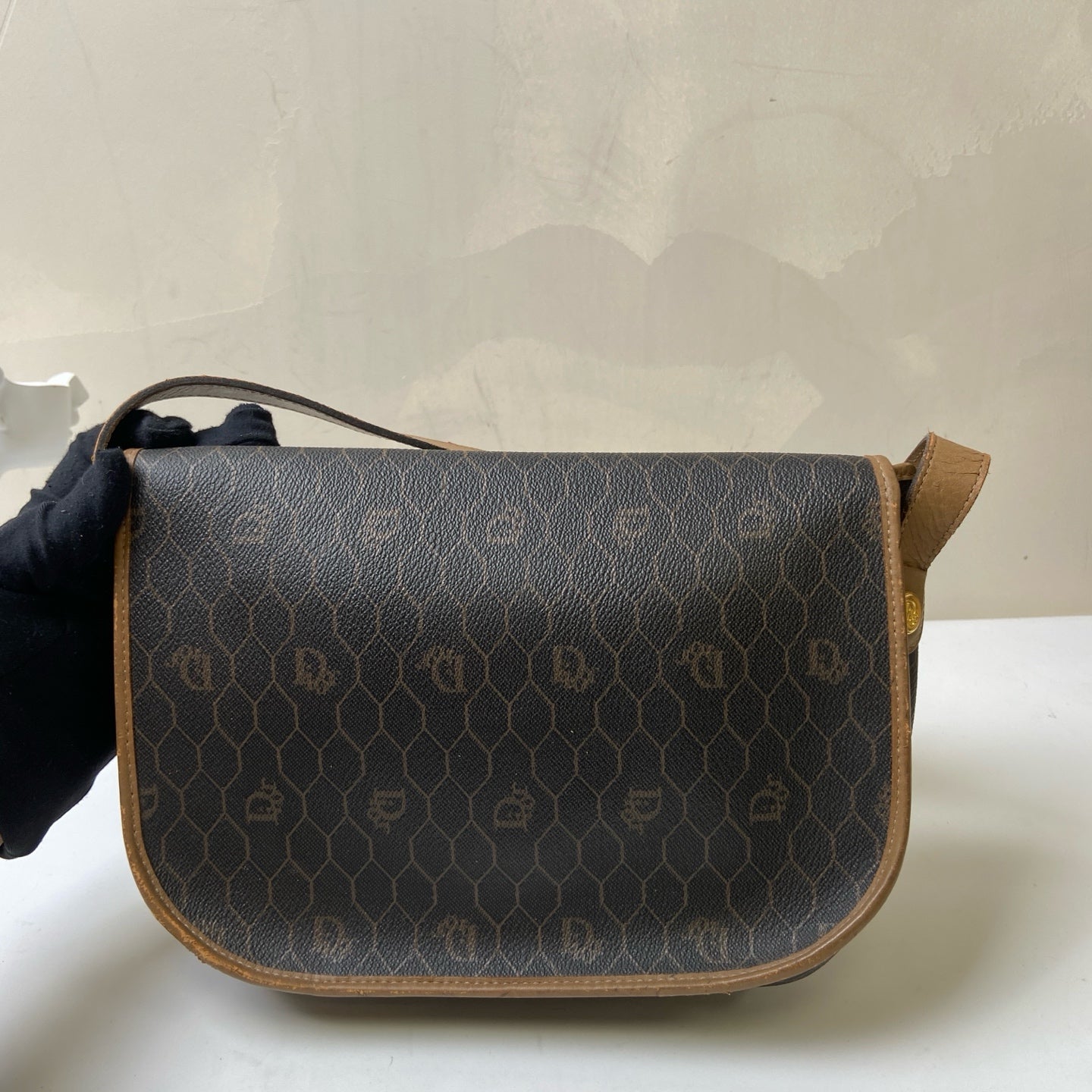 Dior Vintage Floral Crossbody Bag, Dior Bee Hive Crossbody Mini Bag dimensions approximately 19×24×6cm.