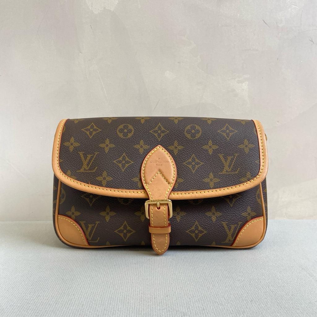 Louis Vuitton Diane Classic Monogram with Chip, Double Strap, Size 24*16.