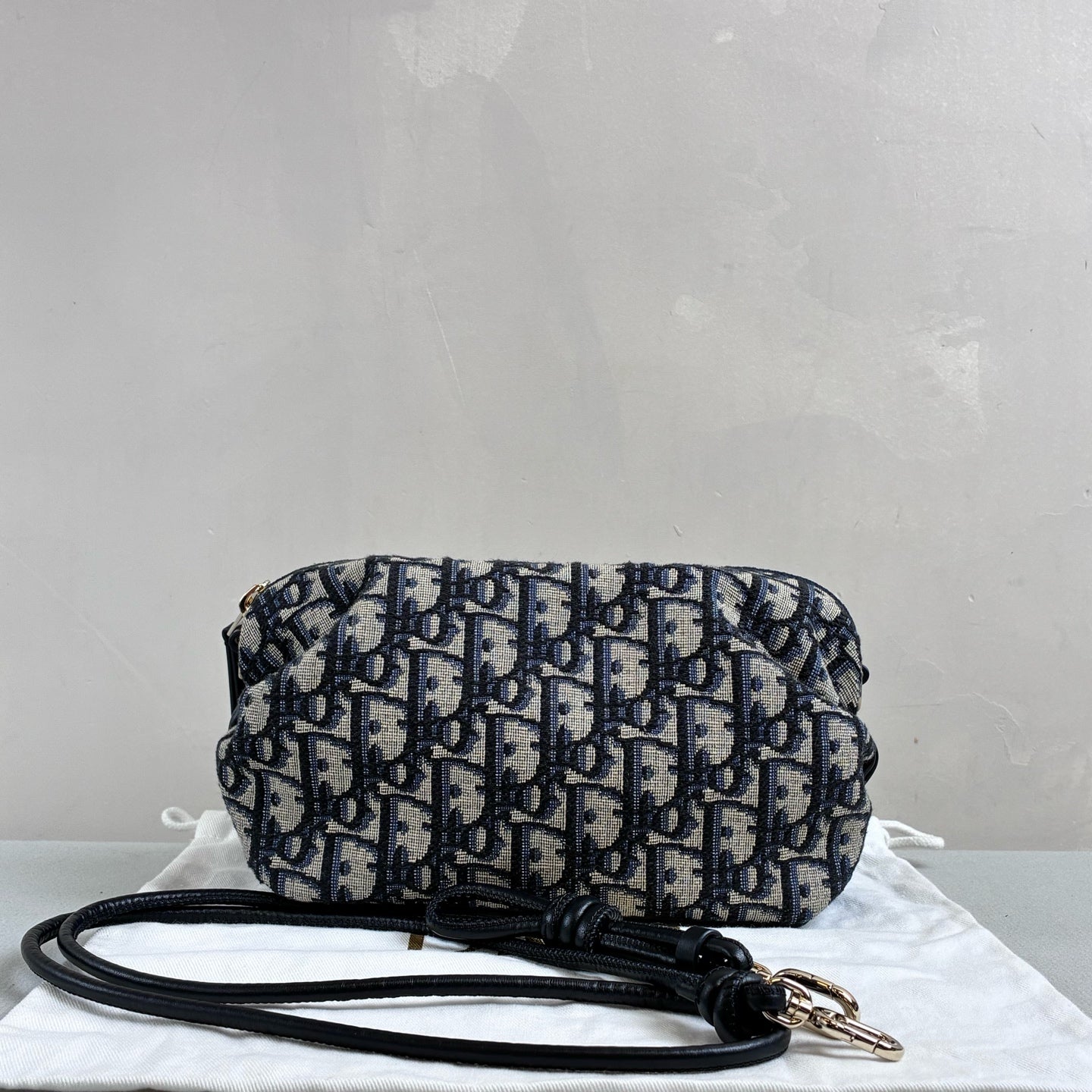 Dior 99% New Bow Monogram Dumpling Bag Canvas and Leather Size 20*11