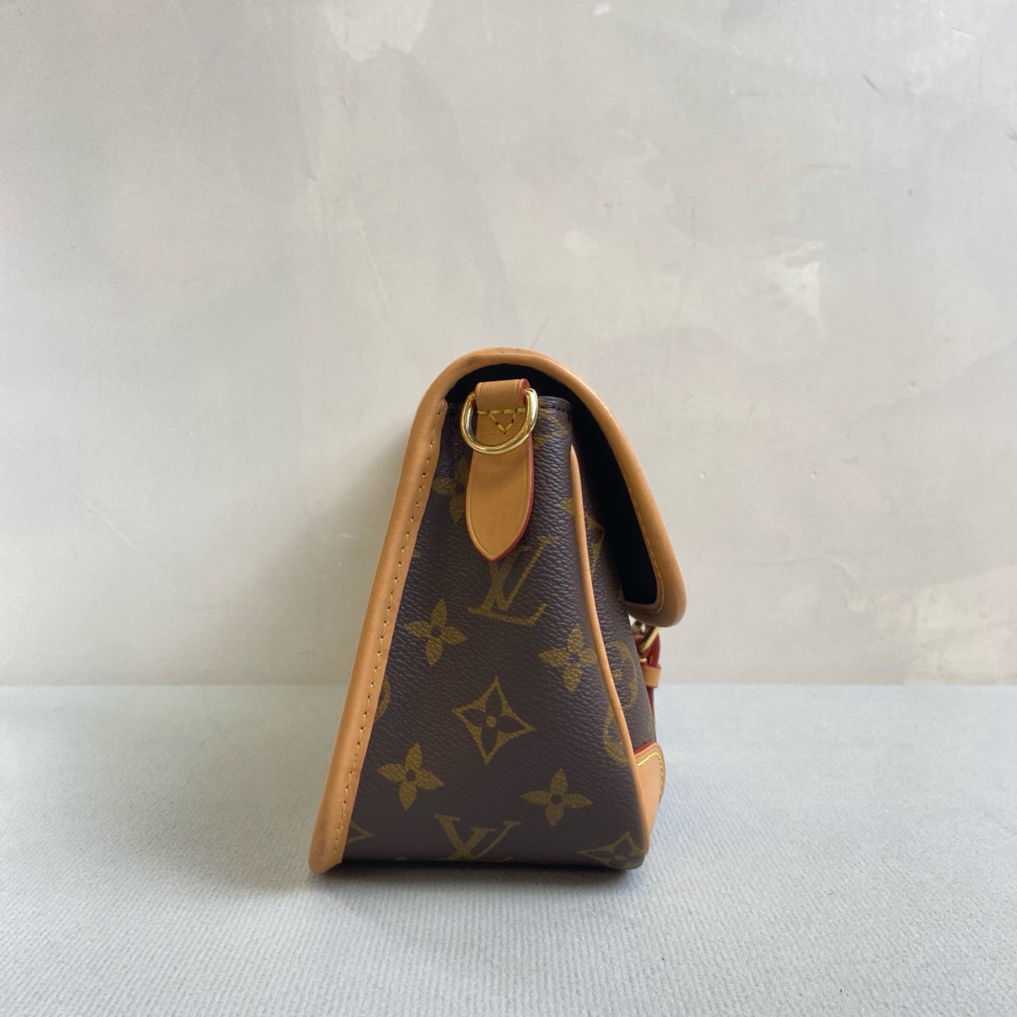 Louis Vuitton Diane Classic Monogram with Chip, Double Strap, Size 24*16.
