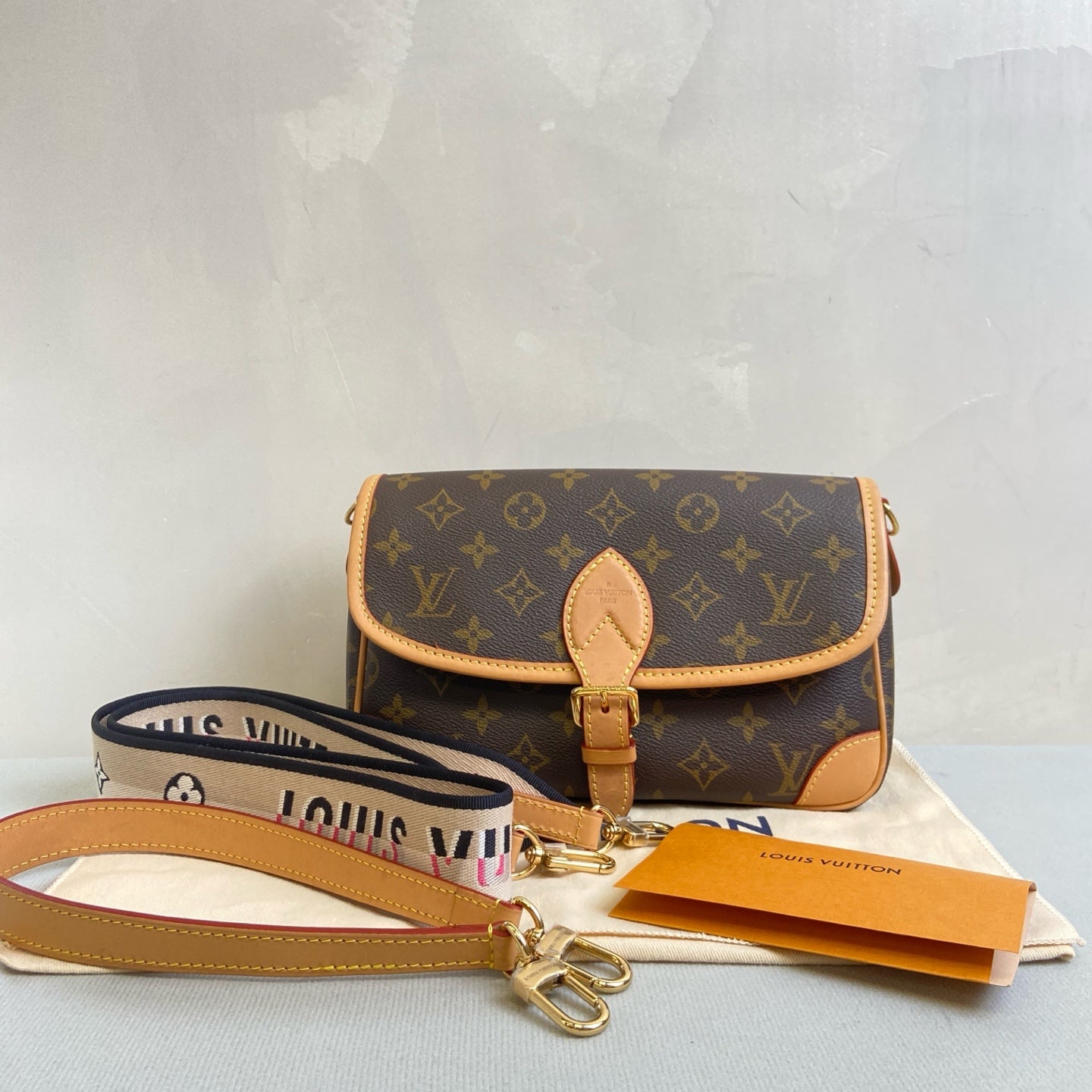 Louis Vuitton Diane Classic Monogram with Chip, Double Strap, Size 24*16.