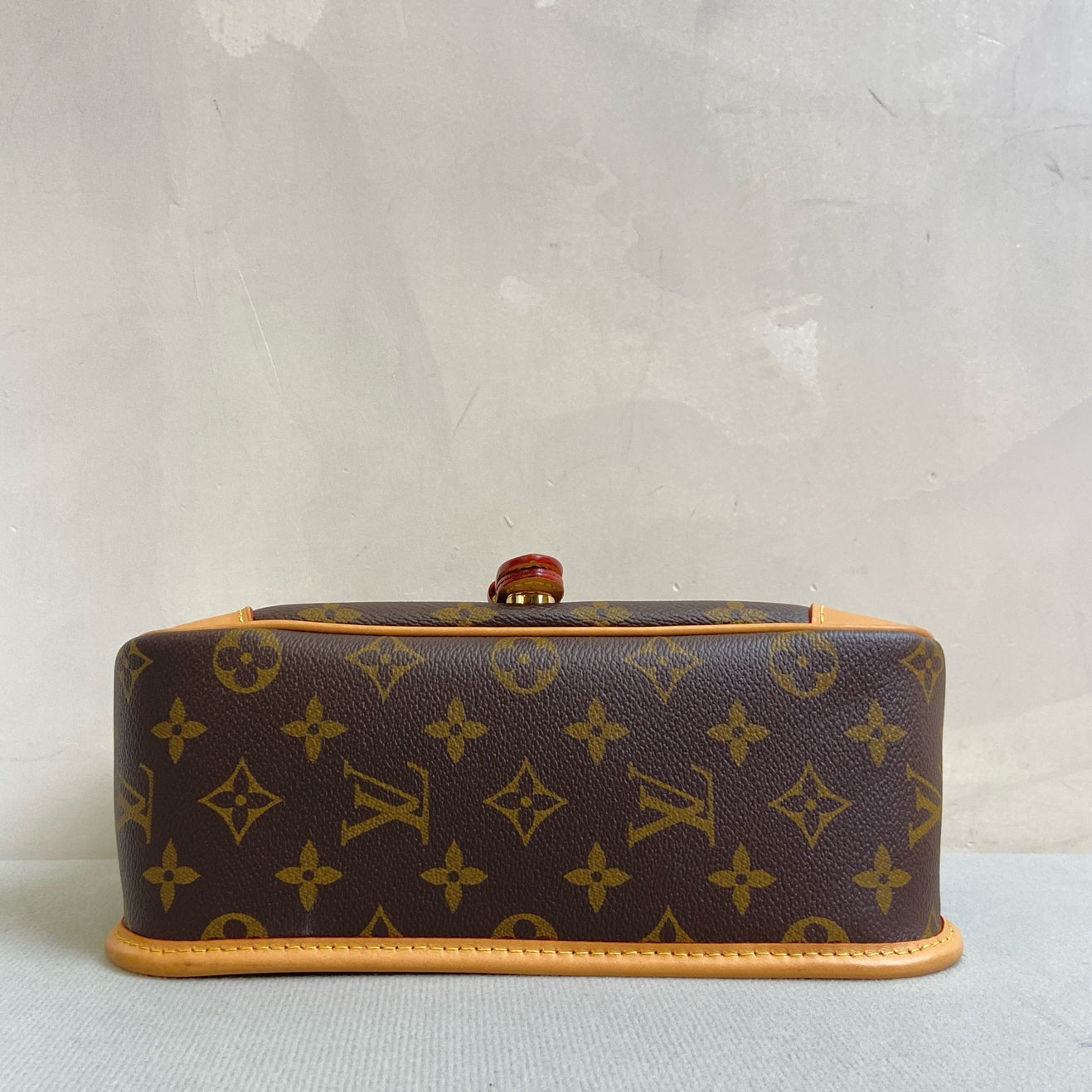 Louis Vuitton Diane Classic Monogram with Chip, Double Strap, Size 24*16.
