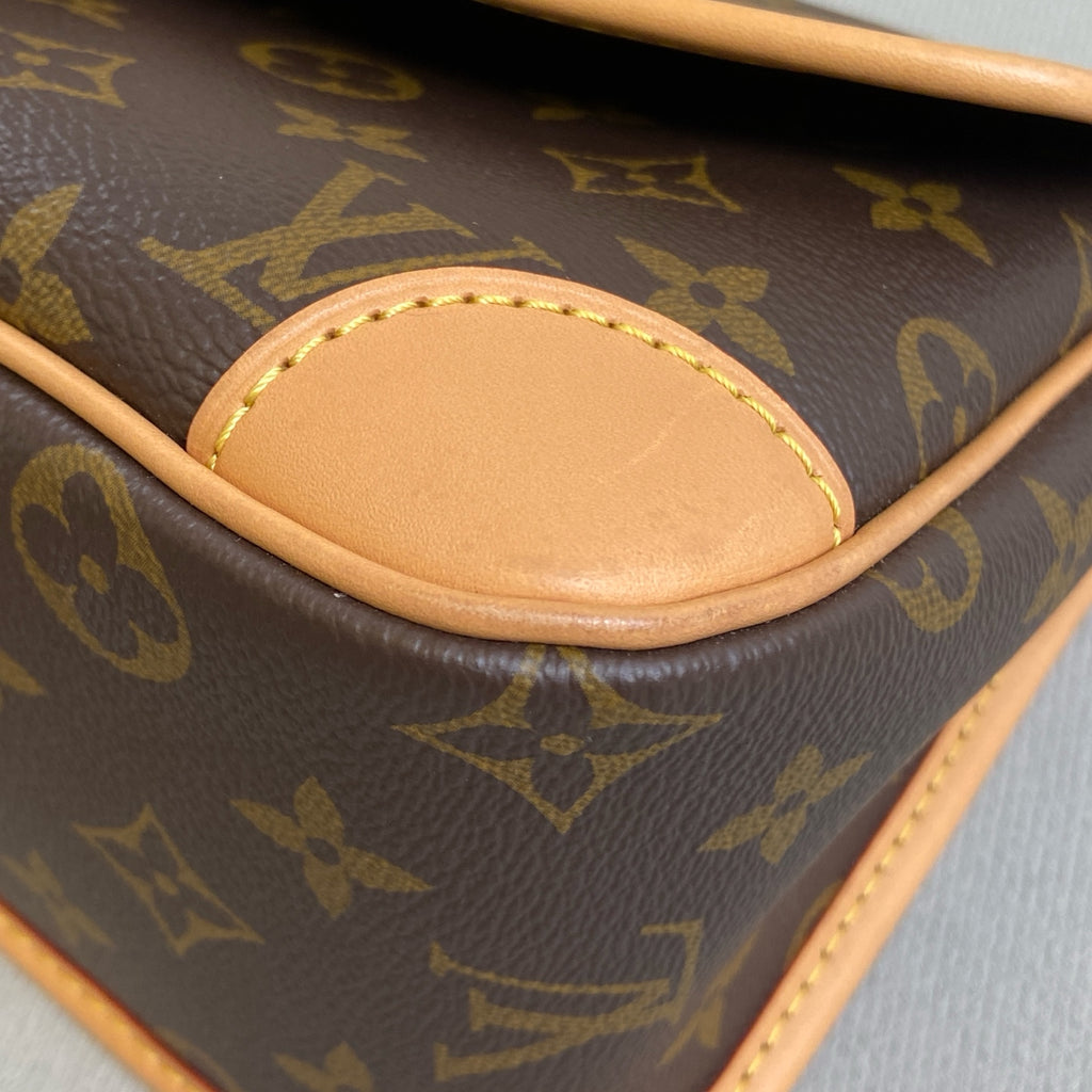 Louis Vuitton Diane Classic Monogram with Chip, Double Strap, Size 24*16.