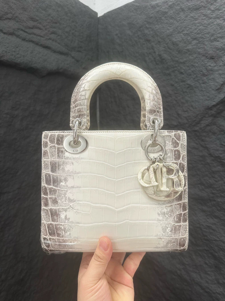 Dior Dior crocodile leather 23 Lady Dior